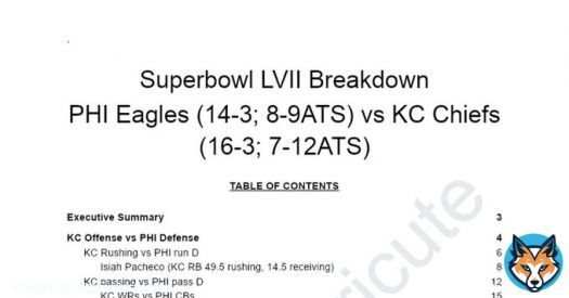 Going to a #SuperBowl party?  Come read my 75 page breakdown on the #NFLPlayoffs game between #ChiefsKingdom and #EaglesNation and become and expert.