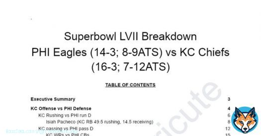 Going to a #SuperBowl party?  Come read my 75 page breakdown on the #NFLPlayoffs game between #ChiefsKingdom and #EaglesNation and become and expert.