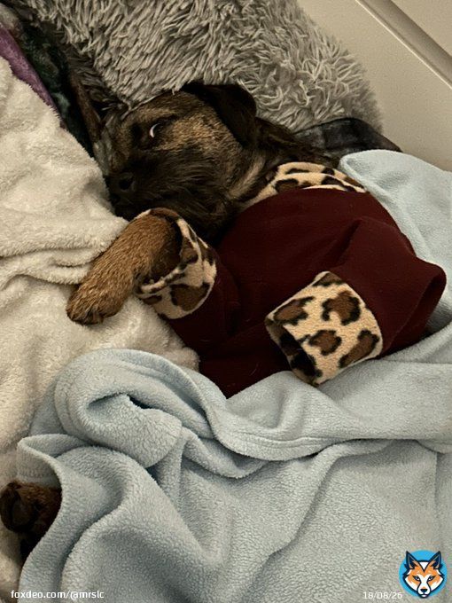 Just one more work day to get through then I can relax. My alarm went off this morning and this one said no!!   BTPosse