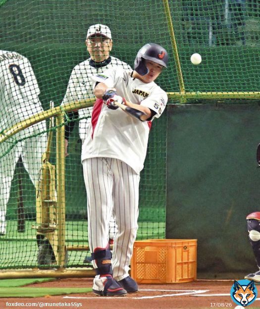 ちょいと待ってくれー。  四番以外打つイメージはないじゃなく、どこの打順でも任されたところで打ちたいっていう意味で、こだわりはないって言う意味なのに。  僕はどの打順でも頑張りますよ。