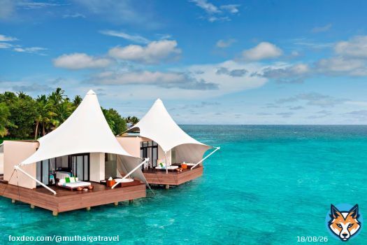 #Maldives \ud83d\ude0d  Contact us for exciting holiday deals to #Maldives  \u260e\ufe0f +254718002012  \u260e\ufe0f +211924 052704 / +211921725700  \ud83d\udce9 info@muthaiga.co.ke  #maldives #sea #sealife #wonderful_places #beachlife #лето #travel #travel #traveler #voyager #holiday #summer #beachday  \ud83c\udf0a #seaview #seaview