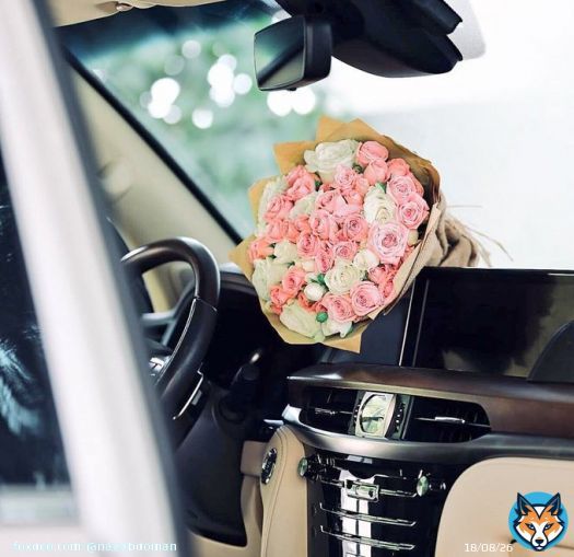 من مضى بين النـاس جابراً للخواطـر.. جبر الله قلبه وحصنه من كل خيبة.. #الحماية_الاجتماعية  #مساء_الخيرᅠ