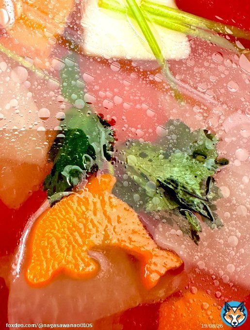 明けましておめでとうございます。 お雑煮の中にイルカさんがいましたよ 今年も宜しくお願いします。 #新年のご挨拶