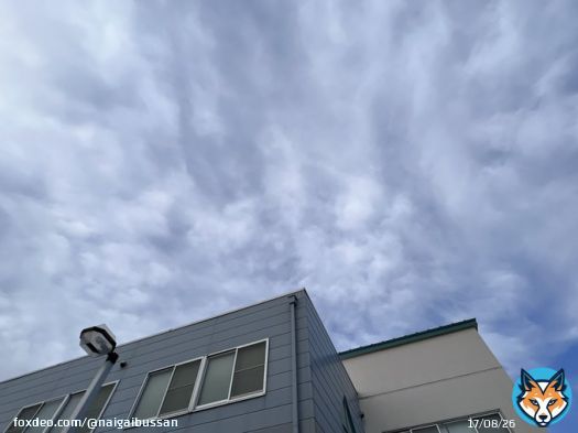 おはようございます。 水曜日、愛知県一宮市は雲多めの晴れ 花粉症の上司が辛そうです。 今日から春の火災予防運動が始まります。この機会に防火対策を。 本日もよろしくお願いします。  #企業公式が毎朝地元の天気を言いあう