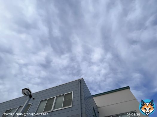 おはようございます。 水曜日、愛知県一宮市は雲多めの晴れ 花粉症の上司が辛そうです。 今日から春の火災予防運動が始まります。この機会に防火対策を。 本日もよろしくお願いします。  #企業公式が毎朝地元の天気を言いあう
