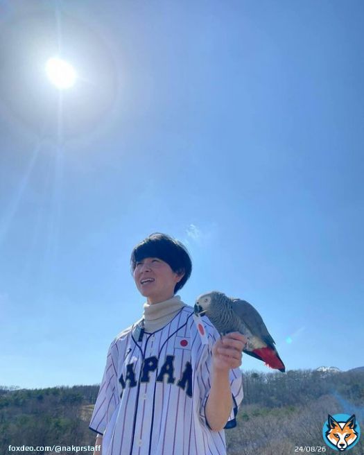. オリビアも侍ジャパンもバンザーイ！ 素晴らしい戦いをありがとうございました  #wbc #wbc2023  #ヨウム の #オリビア #那須どうぶつ王国