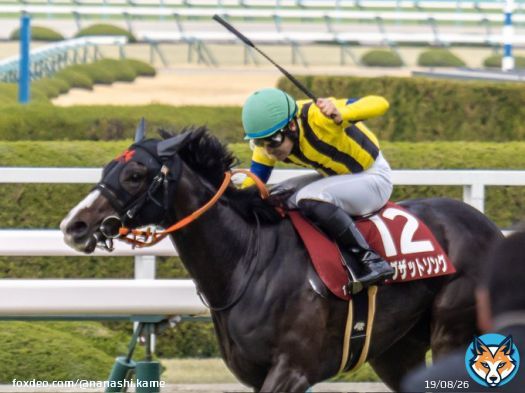 2023.3.12 阪神11R 【フィリーズレビュー2023】 シングザットソング&times;吉田隼人騎手  おめでとうございます！！