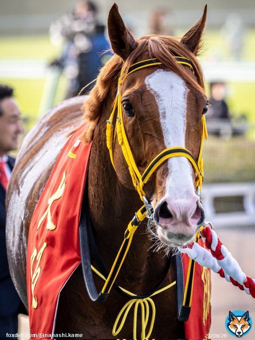 ジャックドールかわいい