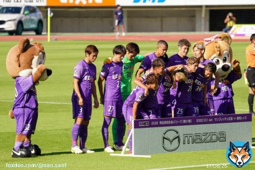 20221001 サンフレッチェ広島 vs 浦和レッズ #J撮り #sanfrecce   前列キレイに斜めってる