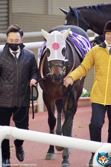 #ウメムスビ  #角田大河  #新谷功一厩舎  #朝日杯フューチュリティステークス  2022.12.18 阪神11R