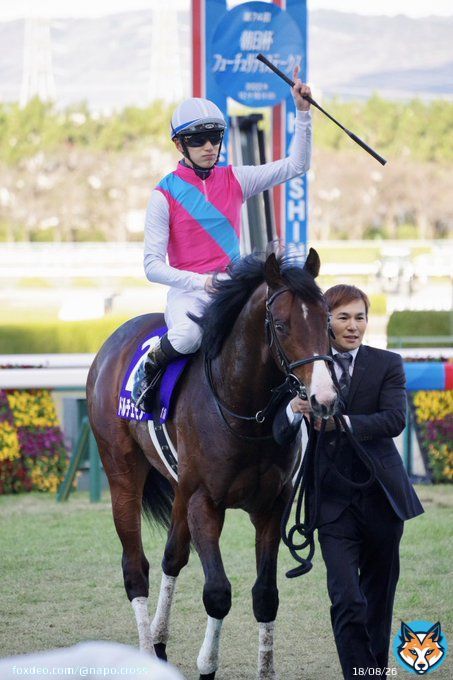 #ドルチェモア  #坂井瑠星  #須貝尚介厩舎  #朝日杯フューチュリティステークス