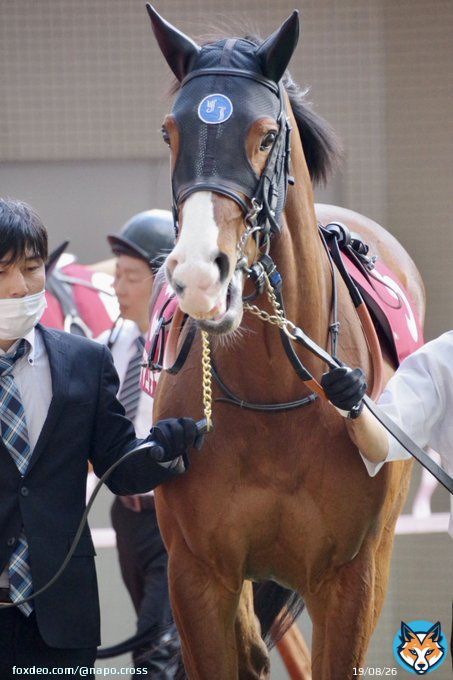 #ママコチャ  #阪神牝馬ステークス