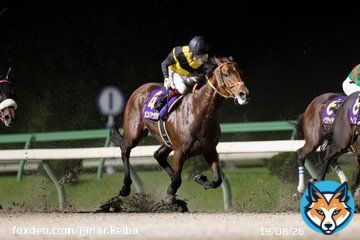 #マイルチャンピオンシップ南部杯 1着はカフェファラオ。本日盛岡競馬場で行われたRoad to JBCの第35回マイルチャンピオンシップ南部杯(JpnI)は、福永祐一騎手(JRA)騎乗で1番人気のカフェファラオ(牡5･JRA･堀宣行厩舎)が制しました。ハナ差の2着にヘリオス、3着はシャマル。