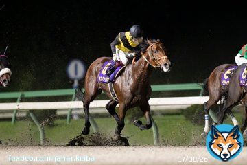 #マイルチャンピオンシップ南部杯 1着はカフェファラオ。本日盛岡競馬場で行われたRoad to JBCの第35回マイルチャンピオンシップ南部杯(JpnI)は、福永祐一騎手(JRA)騎乗で1番人気のカフェファラオ(牡5・JRA・堀宣行厩舎)が制しました。ハナ差の2着にヘリオス、3着はシャマル。