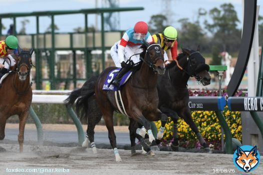 #チャンピオンズカップ 1着はジュンライトボルト。本日JRA中京競馬場で行われた第23回チャンピオンズカップ(GI)は、石川裕紀人騎手(JRA)騎乗で3番人気のジュンライトボルト(牡5･JRA･友道康夫厩舎)が制しました。クビ差の2着にクラウンプライド、3着はハピが入りました。
