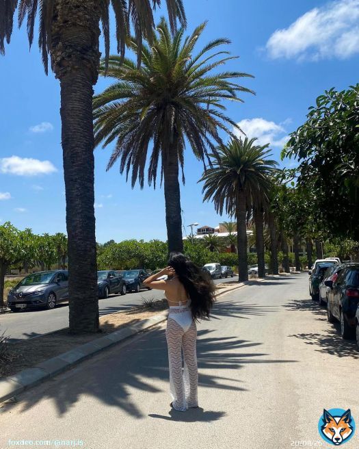 Find me under the palms \ud83c\udf34 -@FashionNova \ud83d\udd0d: summers for the girls 3 piece bikini swimsuit - white \ud83d\udd0d: when life give you lemons tote bag