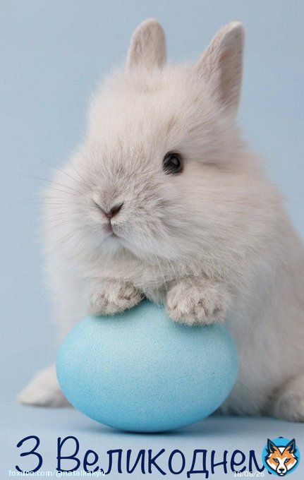 З Великоднем!  Христос Воскрес! Happy Easter Ukraine!   #Ukraine