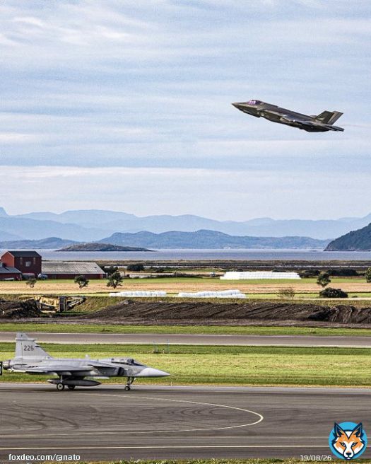 Allied jets from  Finland,  Norway and partner  Sweden are undertaking close air combat training, flying against each other to train for dogfight scenarios.  Norway-led Exercise Arctic Fighter Meet is taking place out of out of &Oslash;rland