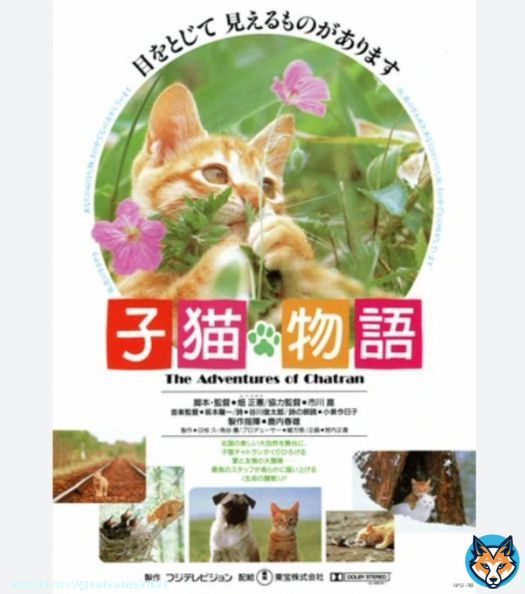 誰よりも動物を愛したムツゴロウさん(畑正憲さん)謹んでお悔やみ申し上げます。子猫物語が懐かしいです。音楽は故 坂本龍一さんが担当されていました。