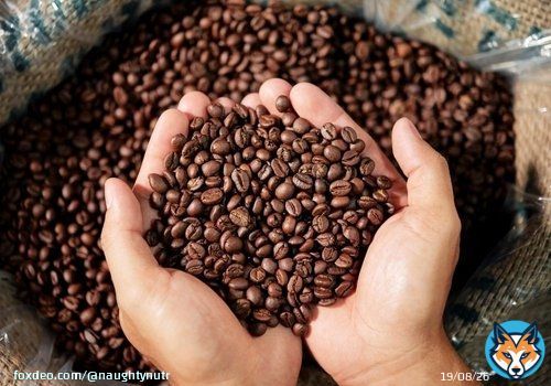 Studies over the years have shown coffee not only helps improve brain health by increasing memory, mood, vigilance and reaction times, but also promotes the release of dopamine, helping to lower depression levels, and the risk of Alzheimer's and Parkkinson's disease later on.