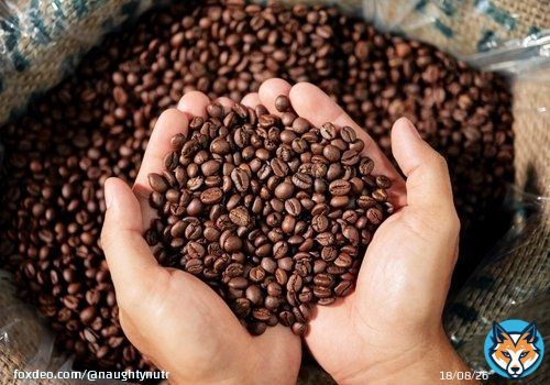 Studies over the years have shown coffee not only helps improve brain health by increasing memory, mood, vigilance and reaction times, but also promotes the release of dopamine, helping to lower depression levels, and the risk of Alzheimer's and Parkkinson's disease later on.