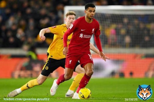 Thoughts on Cody Gakpo so far? #WOLLIV #EmiratesFACup