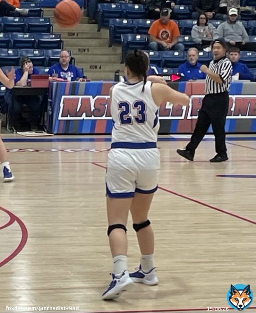 Final at the 2A regional it&rsquo;s the Hornettes 62 Chester 37.  The Hornettes will play Monday night at Sparta vs. Breese Central at 7:30   #NCHS #GoBigBlue #HornettePride @deuceandabuse @section618 @1035ESPN @wmixsports @STLhssports @leahluv82 @thesouthernspt @areasports