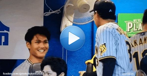 【必見！！】 大山先輩にホームラン讃えられて興奮気味に話す西純が可愛過ぎるからとりあえず見て！！ \ud83d\ude06 #西純矢 #大山悠輔  #阪神タイガース