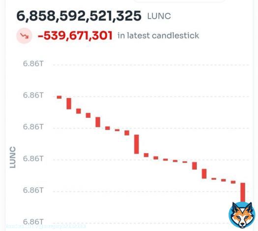 Yoooo who just burnt over 500 million  WTF  #LUNC   #LuncBurn #Binance #Bitcoin #LunaClassic #LUNCcommunity