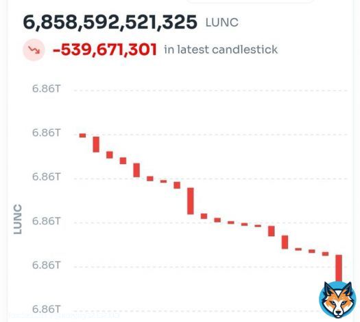 Yoooo who just burnt over 500 million  WTF  #LUNC   #LuncBurn #Binance #Bitcoin #LunaClassic #LUNCcommunity