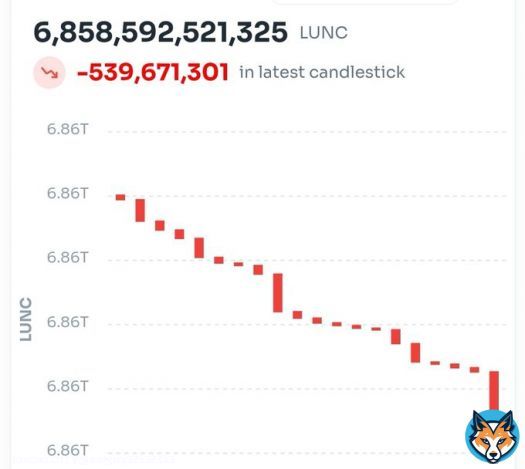 Yoooo who just burnt over 500 million  WTF  #LUNC   #LuncBurn #Binance #Bitcoin #LunaClassic #LUNCcommunity