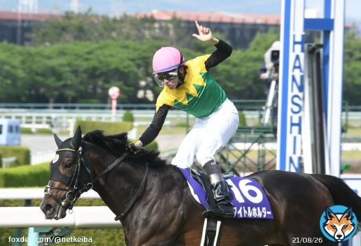 1枚目：タイトルホルダー 天皇賞春・横山和生騎手 2枚目：タイトルホルダー 菊花賞・横山武史騎手 3枚目：セイウンスカイ 菊花賞・横山典弘騎手