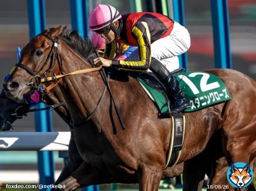 【#紫苑ステークス レース後コメント】 スタニングローズ坂井瑠星騎手、サウンドビバーチェ横山武史騎手ら   サークルオブライフ M.デムーロ騎手 「調教では問題ないのですが、ゲートの中でイライラして後ろにもたれたり、余裕がありません。それで出遅れて&hellip;(後略)」