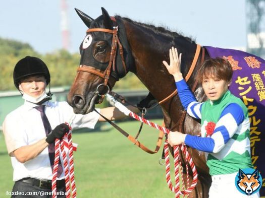 【#セントウルステークス レース後コメント】 メイケイエール池添謙一騎手、ファストフォース団野大成騎手ら   池添騎手 「今日の折り合いに関しては、どちらかと言えば、勝負所で少し動かしていかなければいけないぐらいの追走だったので、今日は楽でした」※抜粋