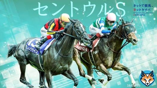 【#セントウルステークス】 ファンのエール背に秋こそは悲願成就 4枠5番メイケイエール  G1馬の誇りにかけて譲れぬ道を一直線 7枠11番ソングライン  伏兵の身から一気に夏の短距離王者へ 1枠1番ボンボヤージ  牝馬優勢に一泡、人馬とも目覚めの時 6枠9番ダディーズビビッド