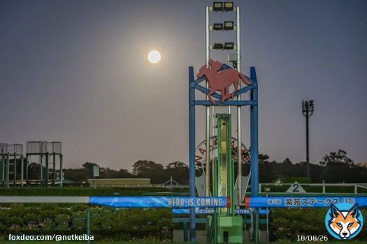 (2日過ぎてしまいましたが&hellip;) 中山競馬場の、ゴール板の向こうに望む、中秋の名月。撮影：下野雄規