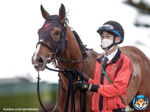 【#セントライト記念】 前日オッズ 上位人気 <br>3. 1 アスクビクターモア <br>4. 1 ローシャムパーク <br>5. 4 オニャンコポン <br>5. 4 ガイアフォース <br>13. 2 ラーグルフ <br>15. 2 キングズパレス <br>19. 5 セイウンハーデス <br>25. 7 マテンロウスカイ <br>31. 2 ボーンディスウェイ <br>36. 8 ショウナンマグマ