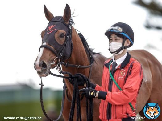 【#セントライト記念】 前日オッズ 上位人気 <br>3. 1 アスクビクターモア <br>4. 1 ローシャムパーク <br>5. 4 オニャンコポン <br>5. 4 ガイアフォース <br>13. 2 ラーグルフ <br>15. 2 キングズパレス <br>19. 5 セイウンハーデス <br>25. 7 マテンロウスカイ <br>31. 2 ボーンディスウェイ <br>36. 8 ショウナンマグマ
