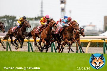 三冠馬がターフを去り何れ一年 その最大の宿敵未だ此処に有り #サリオス #松山弘平 #毎日王冠  撮影：下野雄規