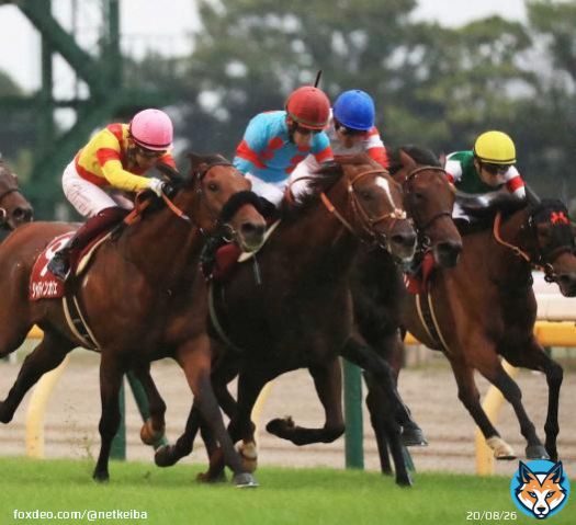 【#毎日王冠】 ゲート破壊の #ダノンザキッド は10/30(日)まで出走停止。停止期間満了後に発走調教再審査。  (出走予定があったかは別として)天皇賞・秋は出走不可となります。