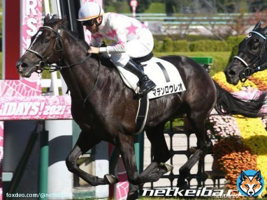 【阪神11R・アンドロメダS(L)】 内から抜けた横山典弘騎手騎乗マテンロウレオが、外から迫った人気馬たちの追い上げ振り切っての勝利。  今年のきさらぎ賞を制した3歳馬。ここ3戦はクラシック戦線で2桁着順でしたが、このクラスで改めて実力上位を証明。
