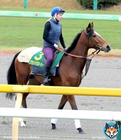 【#ジャパンカップ】 2年連続参戦の#グランドグローリー が思い出たっぷりに馬場入り、陣営「前回来たことを覚えていたようで&hellip;」