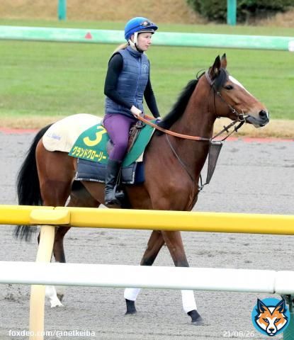 【#ジャパンカップ】 2年連続参戦の#グランドグローリー が思い出たっぷりに馬場入り、陣営「前回来たことを覚えていたようで&hellip;」