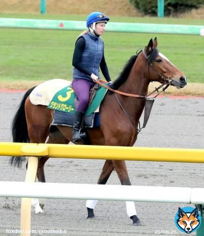【#ジャパンカップ】 2年連続参戦の#グランドグローリー が思い出たっぷりに馬場入り、陣営「前回来たことを覚えていたようで&hellip;」
