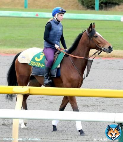 【#ジャパンカップ】 2年連続参戦の#グランドグローリー が思い出たっぷりに馬場入り、陣営「前回来たことを覚えていたようで&hellip;」
