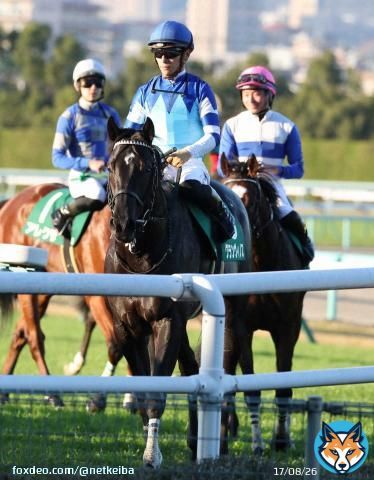 【#京都2歳ステークス】 6着 #グランヴィノス 川田将雅騎手 「競馬自体はスムーズに回って来れましたが、血統的にまだ時間が必要なんだろうと思います。ゆっくり待ちたいと思います」