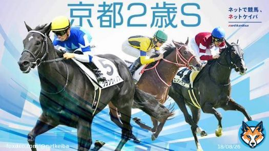 【#京都2歳ステークス 枠順】 グランヴィノスは4枠6番、エゾダイモンは3枠5番