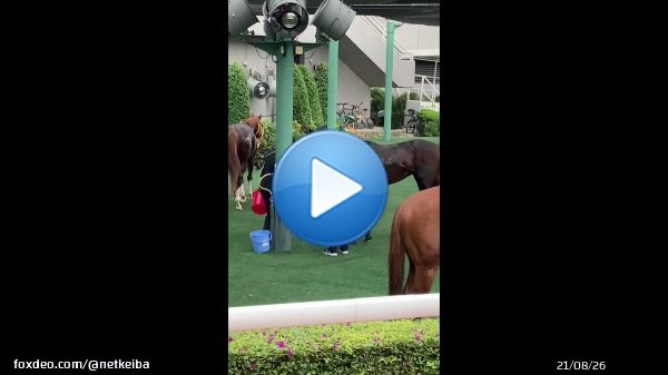 【#香港カップ】 ロマンチックウォリアーとダノンザキッドの着差は4.1/2馬身。  その他の日本馬はジオグリフ6着、ジャックドール7着、レイパパレ9着、パンサラッサ10着でした。どうぞ無事のご帰国を。  映像はクールダウンするパンサラッサ。