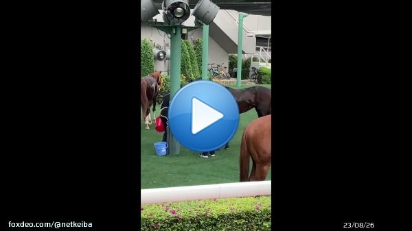 【#香港カップ】 ロマンチックウォリアーとダノンザキッドの着差は4.1/2馬身。  その他の日本馬はジオグリフ6着、ジャックドール7着、レイパパレ9着、パンサラッサ10着でした。どうぞ無事のご帰国を。  映像はクールダウンするパンサラッサ。