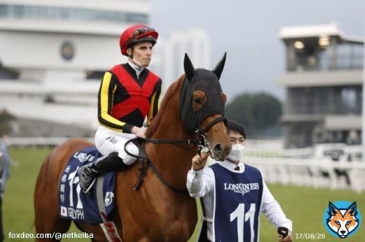 浪漫を求めて、日本馬たちの飽くなき挑戦を称え #ジオグリフ #ジャックドール #レイパパレ #香港カップ 撮影：高橋正和
